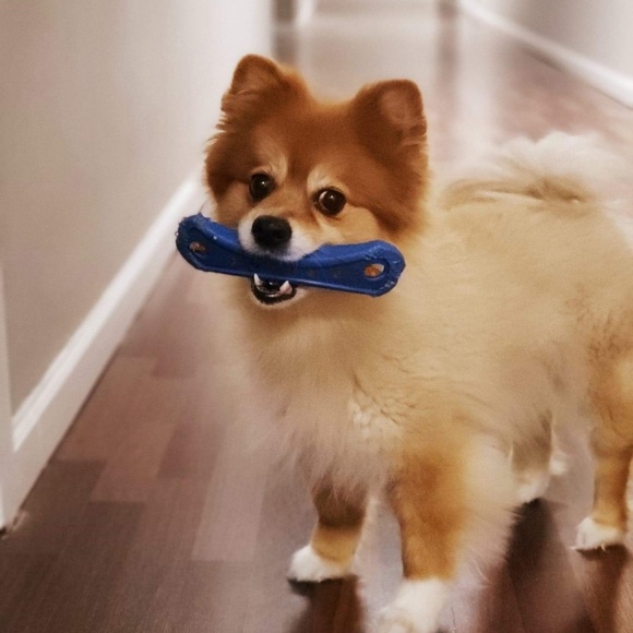 Meet your Posher, Sandra - Picture 4 of 4